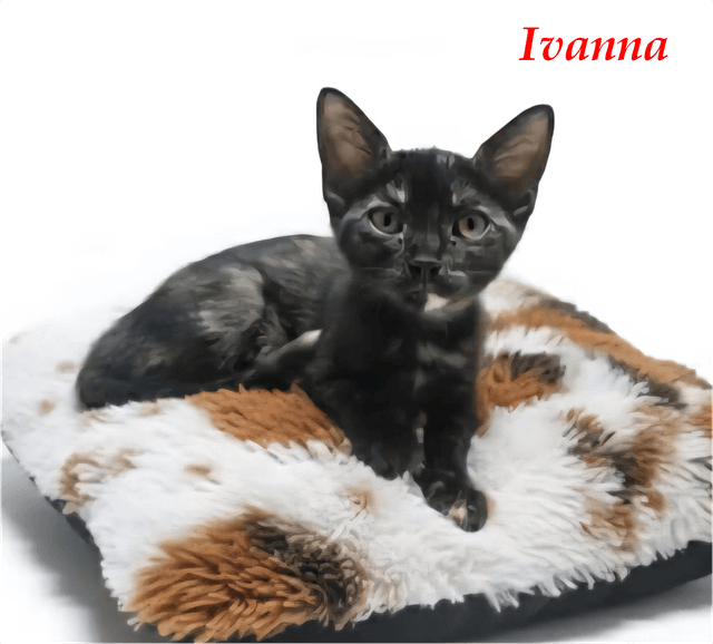 Photo de Ivanna