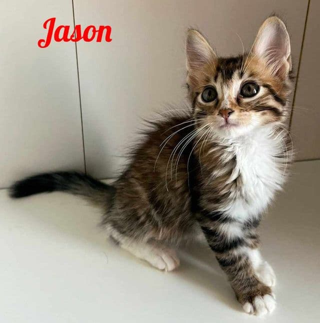 Photo de Jason