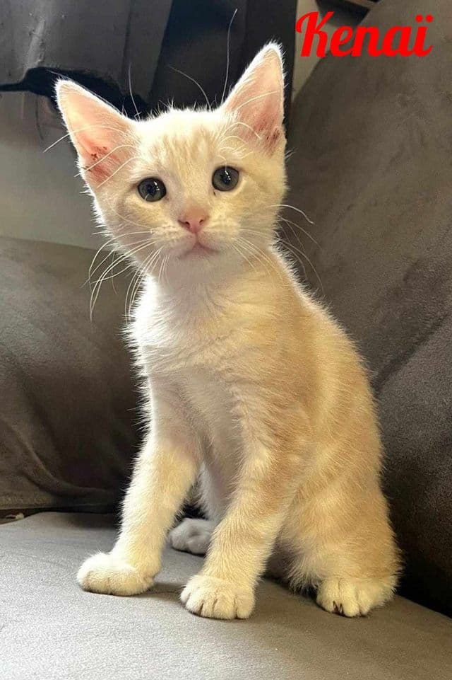 Photo de Kenaï
