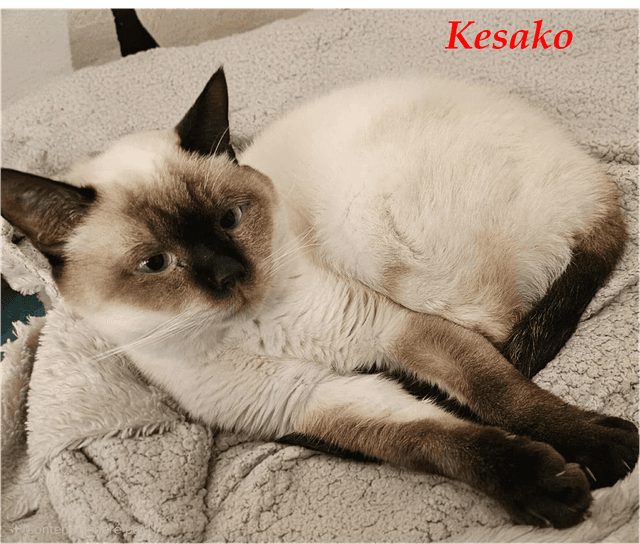 Photo de Kesako