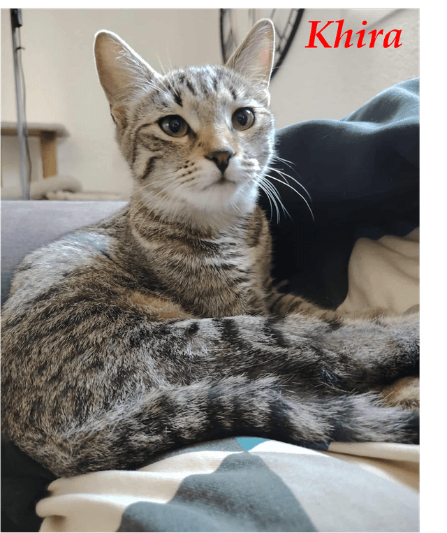 Photo de Khira