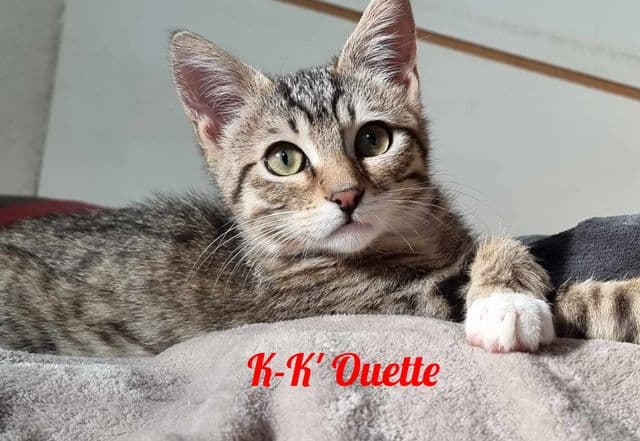 Photo de Kkouette