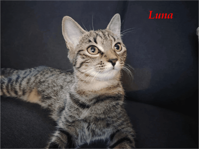 Photo de Luna chez émi