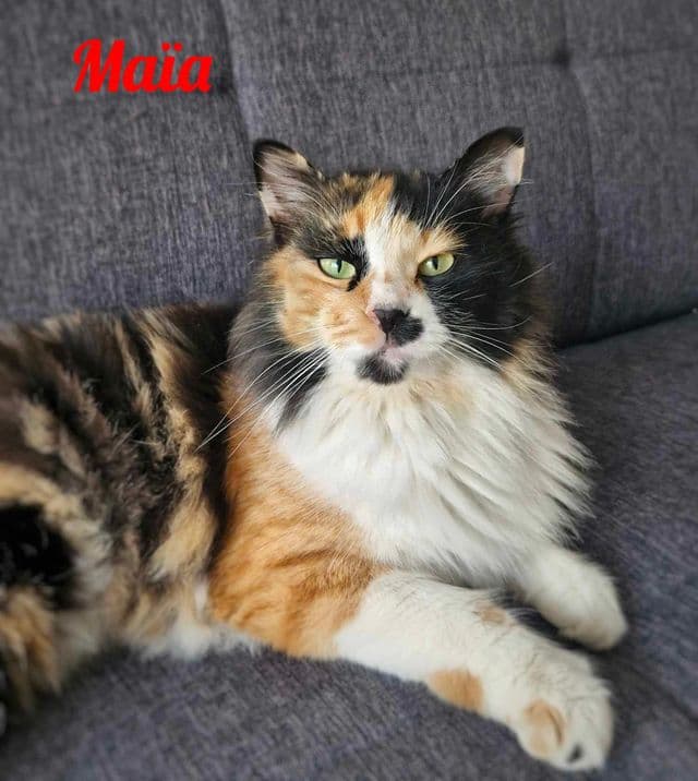 Photo de Maïa