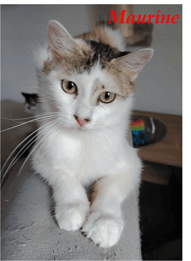 Photo de Maurine