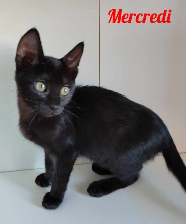 Photo de Mercredi