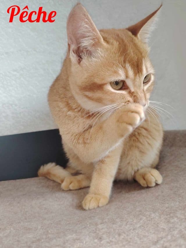 Photo de Pêche