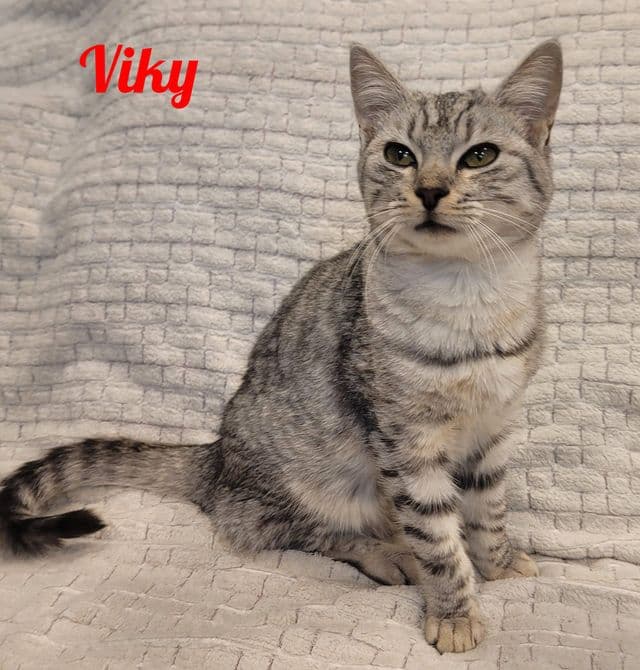 Photo de Viky