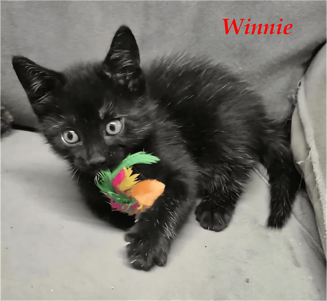 Photo de Winnie