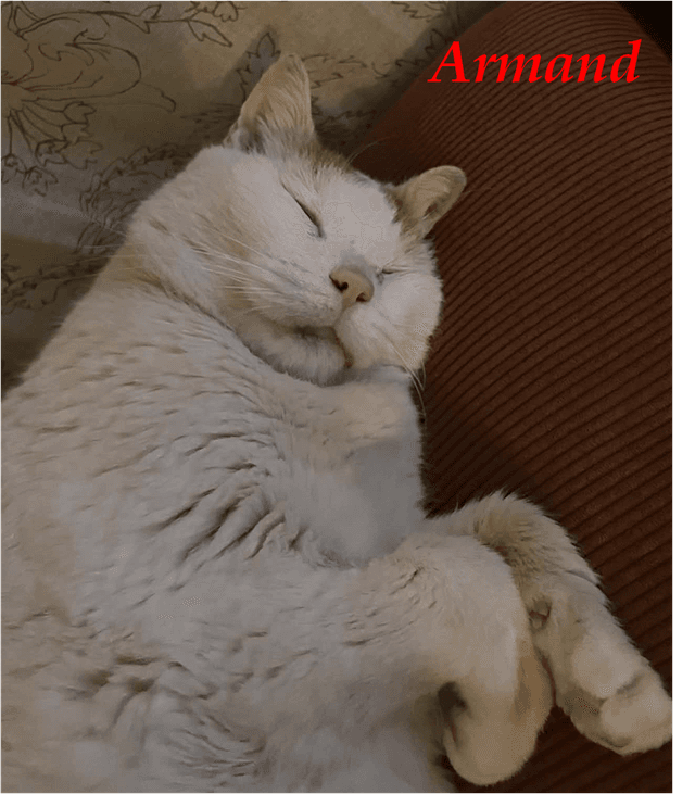 Photo de Armand