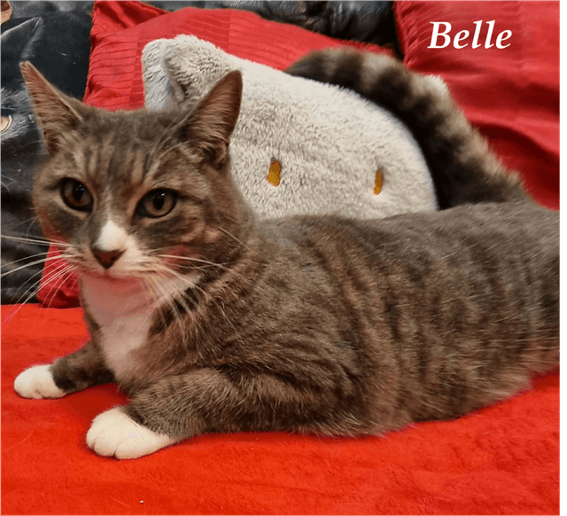 Photo de Belle camping
