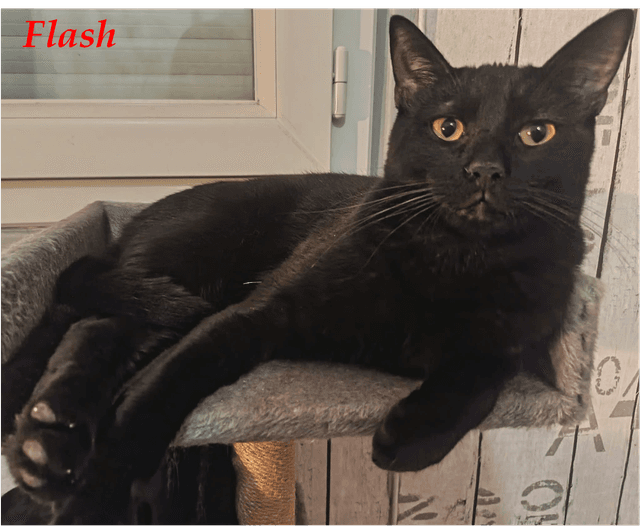 Photo de Flash