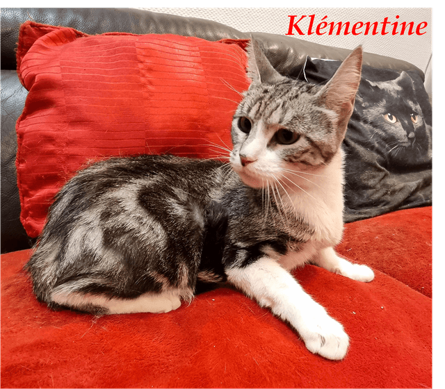 Photo de Klémentine