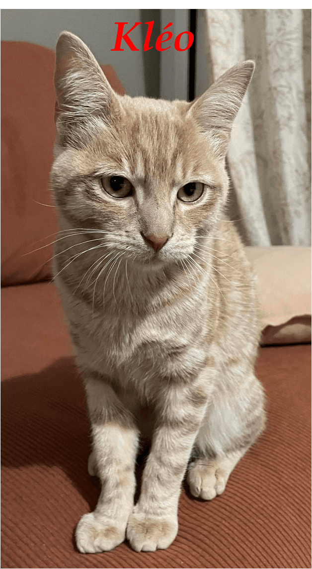 Photo de Kléo
