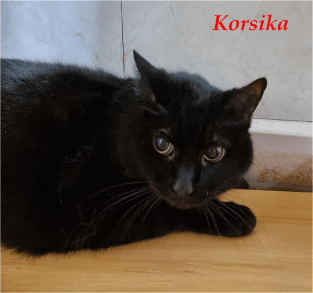 Photo de Korsika