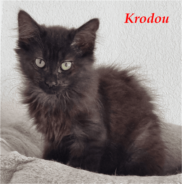 Photo de Krodou