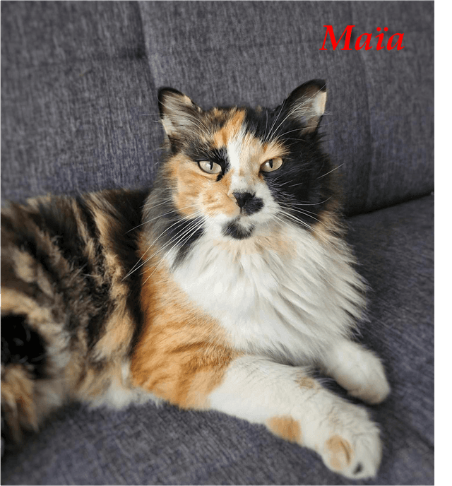 Photo de Maia