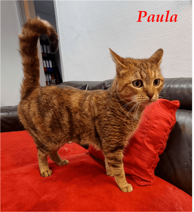 Photo de Paula