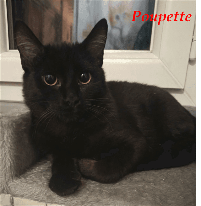 Photo de Poupette