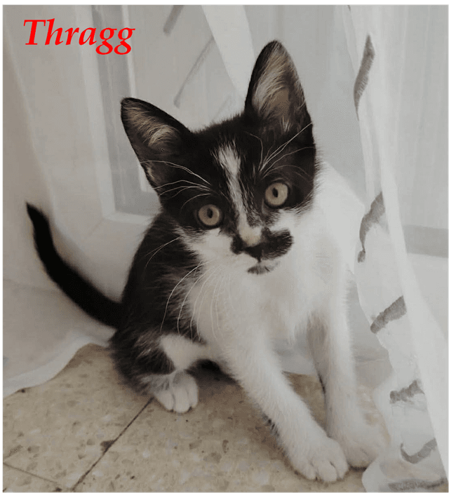 Photo de Thragg