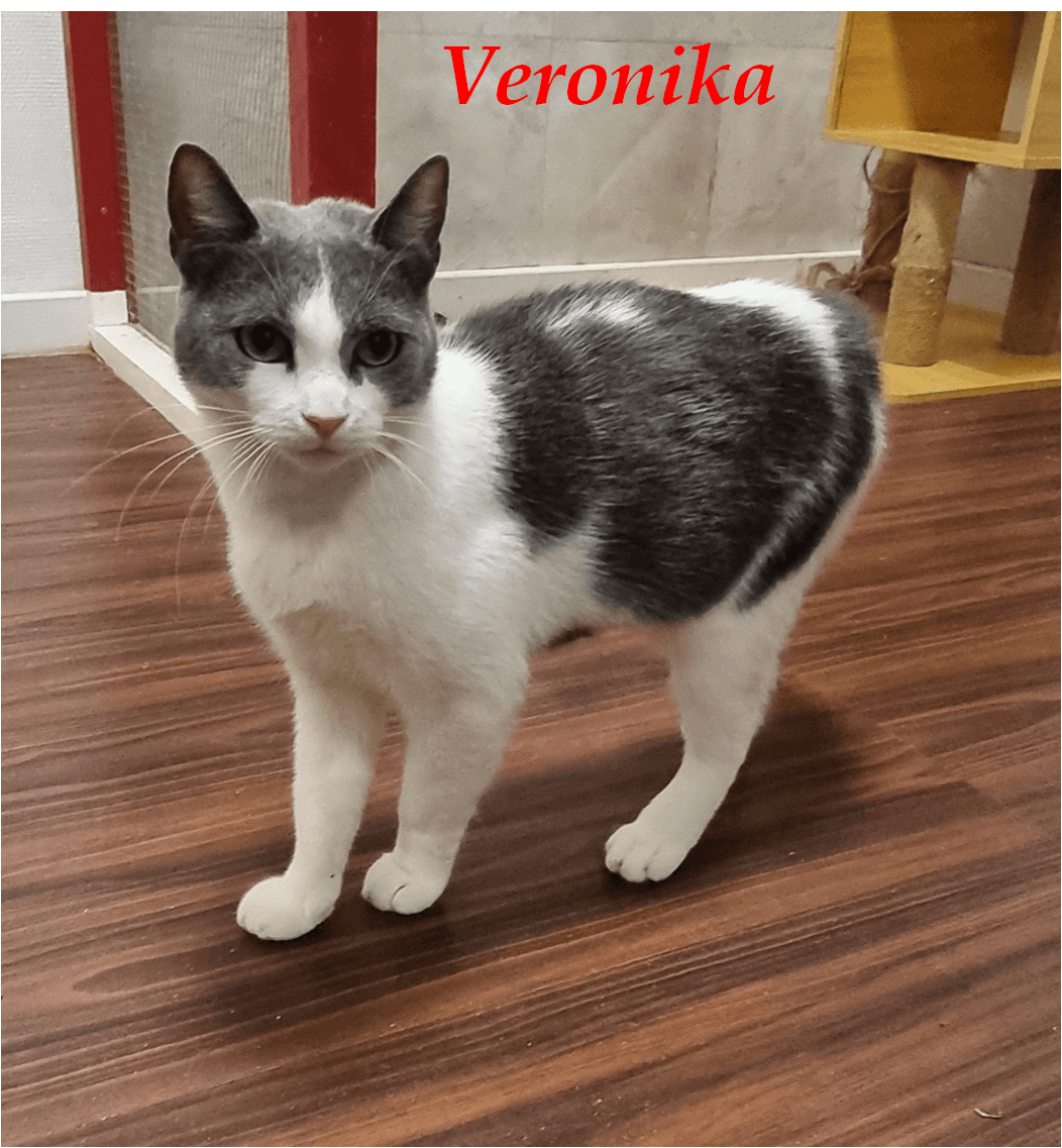 Photo de Veronika